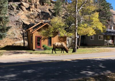 Riverside Retreat Cabin Elk in Front